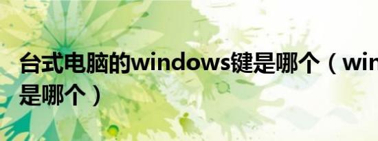 台式电脑的windows键是哪个（windows键是哪个）