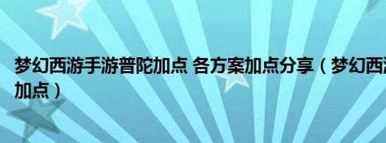 梦幻西游手游普陀加点 各方案加点分享（梦幻西游手游普陀加点）