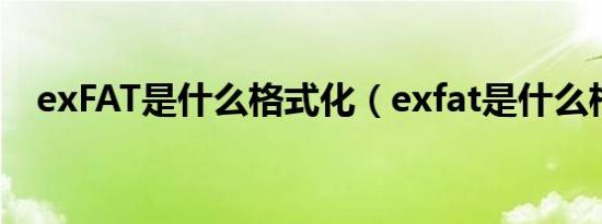 exFAT是什么格式化（exfat是什么格式）