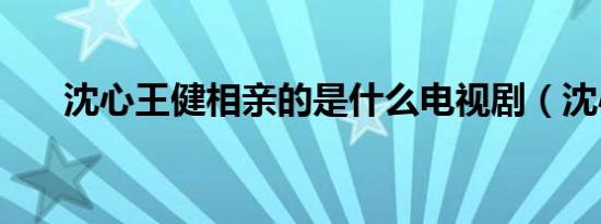 沈心王健相亲的是什么电视剧（沈心）