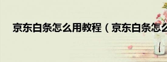 京东白条怎么用教程（京东白条怎么用）