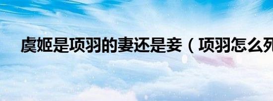 虞姬是项羽的妻还是妾（项羽怎么死的）