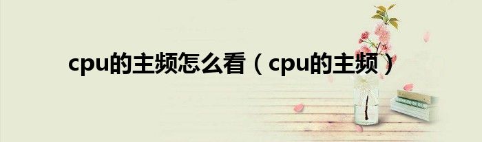 cpu的主频怎么看（cpu的主频）