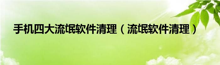 手机四大流氓软件清理（流氓软件清理）