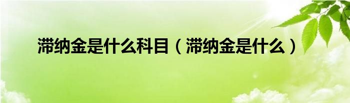 滞纳金是什么科目（滞纳金是什么）