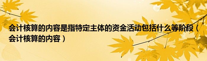 会计核算的内容是指特定主体的资金活动包括什么等阶段（会计核算的内容）