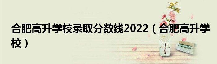 合肥高升学校录取分数线2022（合肥高升学校）