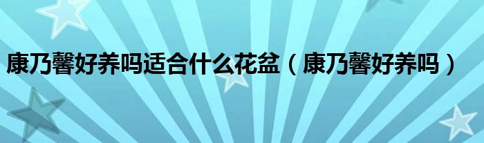 康乃馨好养吗适合什么花盆（康乃馨好养吗）