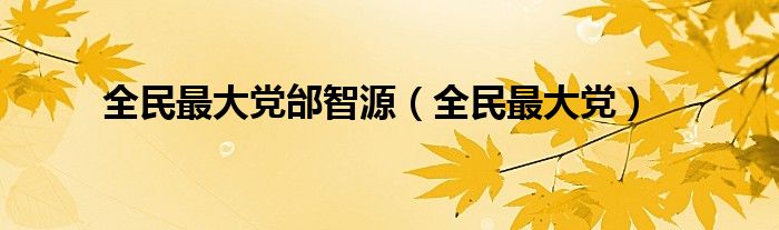 全民最大党邰智源（全民最大党）