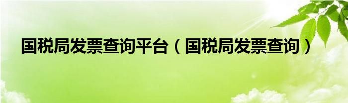 国税局发票查询平台（国税局发票查询）