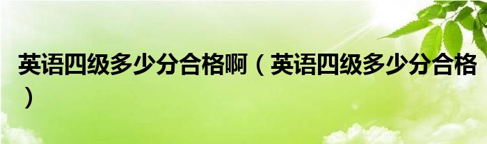 英语四级多少分合格啊（英语四级多少分合格）