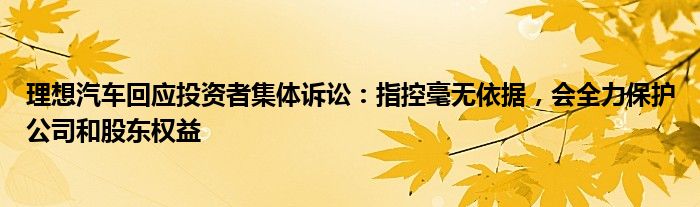 理想回应投资者集体诉讼：指控毫无依据，会全力保护公司和股东权益