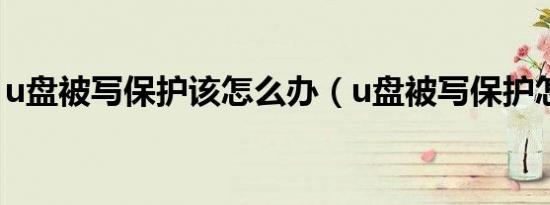 u盘被写保护该怎么办（u盘被写保护怎么办）