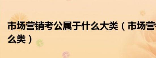 市场营销考公属于什么大类（市场营销属于什么类）