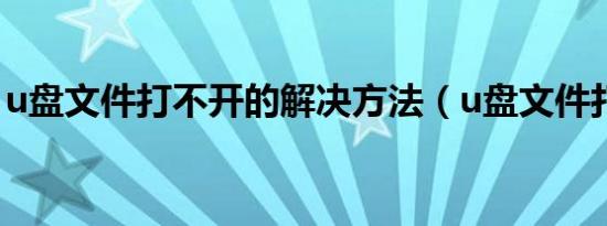 u盘文件打不开的解决方法（u盘文件打不开）