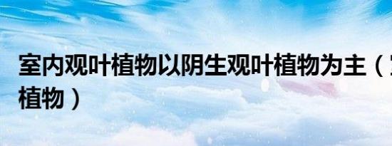 室内观叶植物以阴生观叶植物为主（室内观叶植物）