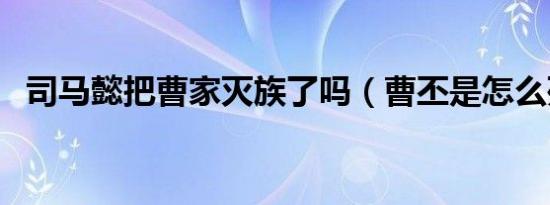 司马懿把曹家灭族了吗（曹丕是怎么死的）