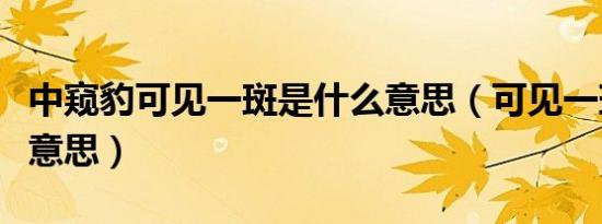 中窥豹可见一斑是什么意思（可见一斑是什么意思）