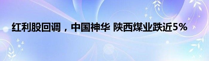 红利股回调，中国神华 陕西煤业跌近5%